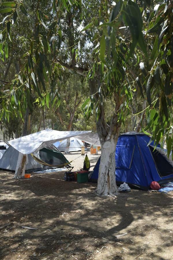Camping Kea Pisses 外观 照片